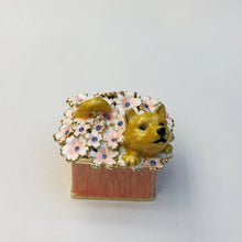 Load image into Gallery viewer, Elegant Shiba Inu Jewelry Box-3