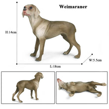 Load image into Gallery viewer, Elegant Silver-Grey Weimaraner Dog Figurine – Standing Pose-dog model 16-1