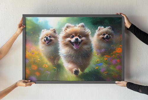 Pomeranian hotsell wall art