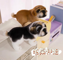 Load image into Gallery viewer, English Bulldog Plush Toy - Adorable Standing Bulldog Puppies-4