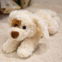 Load image into Gallery viewer, Eye Patch Puppy Pitbull Stuffed Animal Plush Toys-white-37cm-16