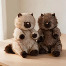 Load image into Gallery viewer, Fat Brown Cat Plush Toy - Super Soft Cuddly Chubby Kitty-7