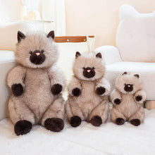 Load image into Gallery viewer, Fat Brown Cat Plush Toy - Super Soft Cuddly Chubby Kitty-6
