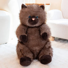 Load image into Gallery viewer, Fat Brown Cat Plush Toy - Super Soft Cuddly Chubby Kitty-dark brown-40cm-19