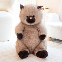 Load image into Gallery viewer, Fat Brown Cat Plush Toy - Super Soft Cuddly Chubby Kitty-light brown-40cm-1