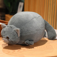 Load image into Gallery viewer, Fat Gray Cat Plush Toy - Extra Fat Obese Cat-Stuffed Animals-Cats,Grey Cat,Stuffed Animal-7