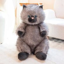 Load image into Gallery viewer, Fat Gray Cat Plush Toy - Super Soft Cuddly Chubby Kitty-grey-40cm-1