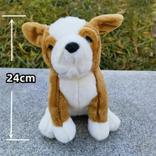 Load image into Gallery viewer, Charming Fawn and White Pied French Bulldog Stuffed Animal-Dog Memorial Gifts,French Bulldog,Stuffed Animal-3