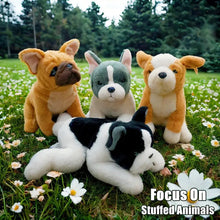 Load image into Gallery viewer, Charming Fawn and White Pied French Bulldog Stuffed Animal-Dog Memorial Gifts,French Bulldog,Stuffed Animal-5