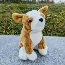 Load image into Gallery viewer, Charming Fawn and White Pied French Bulldog Stuffed Animal-Dog Memorial Gifts,French Bulldog,Stuffed Animal-French Bulldog-1