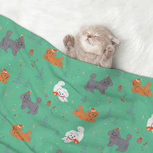 Load image into Gallery viewer, Festive Doodles in Christmas Cheer Dog Blanket-Pet Furniture-12