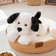 Load image into Gallery viewer, Fluffy Black and White Cocker Springer Spaniel Stuffed Animal-black-45cm-1