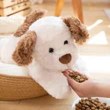 Load image into Gallery viewer, Fluffy Liver and White Cocker Springer Spaniel Stuffed Animal-9