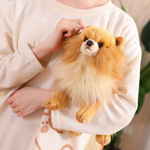Fluffy Pet Me Pomeranian Stuffed Animal Plush Toys-Stuffed Animals-Pomeranian, Stuffed Animal-3