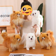 Load image into Gallery viewer, Fluffy Pet Me Pomeranian Stuffed Animal Plush Toys-Stuffed Animals-Pomeranian, Stuffed Animal-9