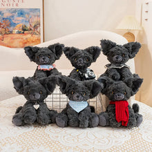 Load image into Gallery viewer, Furry Black Devon Rex Plush Toys - Small Size - Pick Your Accessory-2