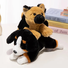 Load image into Gallery viewer, German Shepherd Plush - Perky Ear Cutie - Sitting and Belly Flop Designs-2
