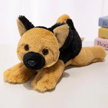 Load image into Gallery viewer, German Shepherd Plush - Perky Ear Cutie - Sitting and Belly Flop Designs-30cm German-7