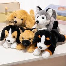 Load image into Gallery viewer, German Shepherd Plush - Perky Ear Cutie - Sitting and Belly Flop Designs-6