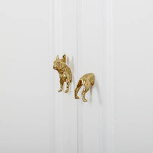 Load image into Gallery viewer, Golden French Bulldog Brass Drawer Pulls or Cabinet Handle Knobs-12