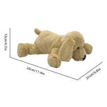 Load image into Gallery viewer, Golden Retriever Plush Toy - Big Nose Furry Baby-11