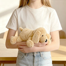 Load image into Gallery viewer, Golden Retriever Plush Toy - Big Nose Furry Baby-3