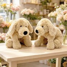 Load image into Gallery viewer, Golden Retriever Plush Toy - Big Nose Furry Baby-5