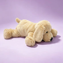 Load image into Gallery viewer, Golden Retriever Plush Toy - Big Nose Furry Baby-6