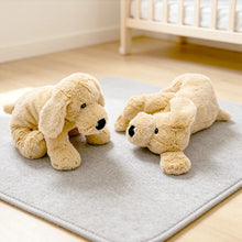 Load image into Gallery viewer, Golden Retriever Plush Toy - Big Nose Furry Baby-7
