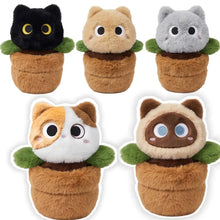 Load image into Gallery viewer, Gray Cat Soft Toy - Darling Spring Time Bloom-2