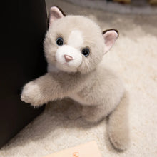 Load image into Gallery viewer, Grey and White Cat Plush Toy - Curious Kitty Grey and White Cat-5