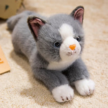 Load image into Gallery viewer, Grey and White Cat Stuffed Animal Plush Toy - Belly Flop Design