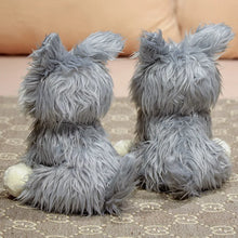 Load image into Gallery viewer, Happy and Angry Face Schnauzer Stuffed Animal Plush Toys-Schnauzer-8