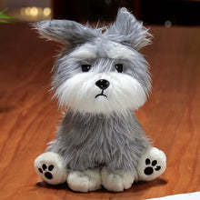 Load image into Gallery viewer, Happy and Angry Face Schnauzer Stuffed Animal Plush Toys-Schnauzer-Angry Schnauzer-One Size-3