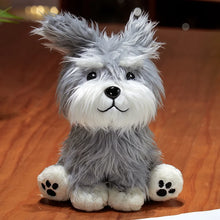Load image into Gallery viewer, Happy and Angry Face Schnauzer Stuffed Animal Plush Toys-Schnauzer-Happy Schnauzer-One Size-2
