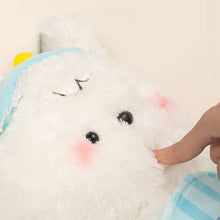 Load image into Gallery viewer, Happy Dog Bichon Frise Teddy Bear Plush Toys-9