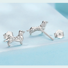 Load image into Gallery viewer, Heart-Melting Silver Dachshund Stud Earrings – Zircon Dog Gift-8