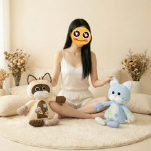 Load image into Gallery viewer, Himalayan Cat Plush Toy - Precious Patchwork Kitty-4