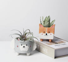 Load image into Gallery viewer, Husky and Corgi Love Succulent Plants Flower Pots-Home Decor-Corgi, Dogs, Flower Pot, Home Decor, Siberian Husky-4