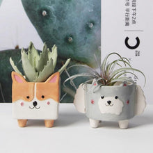 Load image into Gallery viewer, Husky and Corgi Love Succulent Plants Flower Pots-Home Decor-Corgi, Dogs, Flower Pot, Home Decor, Siberian Husky-1