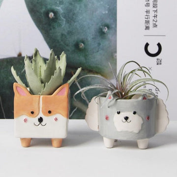 Husky And Corgi Love Succulent Plants Planters 360x