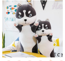 Load image into Gallery viewer, Image of two realistic Husky stuffed animal plush toy pillows in different sizes standing and raising their hands