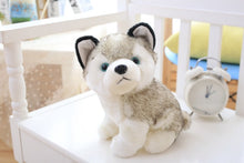 Load image into Gallery viewer, Front image of a super cute Husky stuffed animal plush toy sitting on a white bench