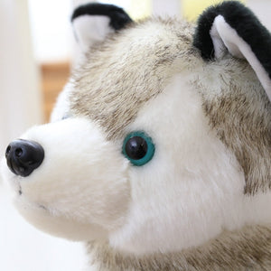 Close face image of a super cute Husky plush toy stuffed animal