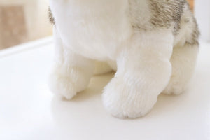 Paw image of a super cute stuffed Husky plush toy