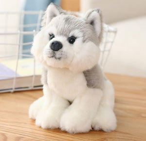 image of an adorable husky stuffed animal plush toy - husky soft toy