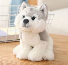 Load image into Gallery viewer, image of an adorable husky stuffed animal plush toy - husky soft toy