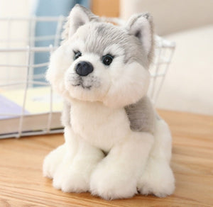 image of an adorable husky stuffed animal plush toy - husky stuffed animal