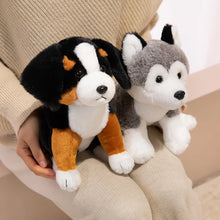 Load image into Gallery viewer, Husky Plush - Perky Ear Cutie - Sitting and Belly Flop Designs-2