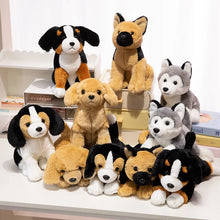 Load image into Gallery viewer, Husky Plush - Perky Ear Cutie - Sitting and Belly Flop Designs-3